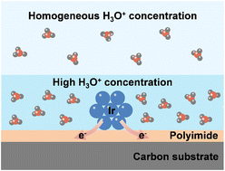 Graphical abstract: Surface charge modulation boosts electrocatalytic water splitting over iridium catalysts on a polyimide support