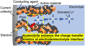 Graphical abstract: Enhanced charge transfer kinetics at the electrode/electrolyte interface in acetonitrile solvent for lithium-ion battery cathodes