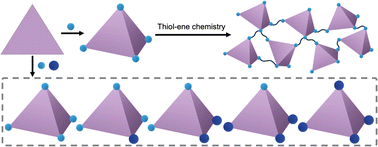 Graphical abstract: Selective binding of rare-earth ions in polymerizable cages