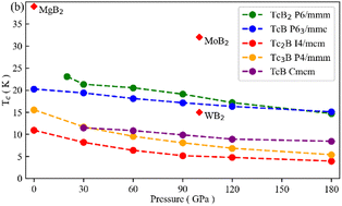 Graphical abstract: Discovery of superconductivity in technetium borides at moderate pressures