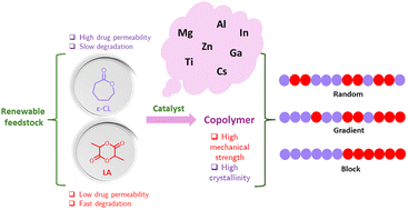 Graphical abstract: Crafting sustainable solutions: architecting biodegradable copolymers through controlled ring-opening copolymerization