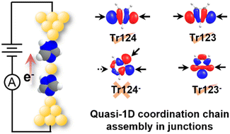 Graphical abstract: Conductance and assembly of quasi-1D coordination chain molecular junctions with triazole derivatives