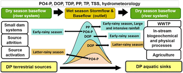 Graphical abstract: Dissolved phosphorous through dry–wet–dry transitions in a small-dammed river basin: integrated understanding on transport patterns, export controls, and fate
