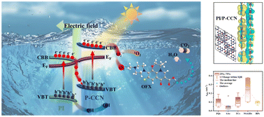 Graphical abstract: Efficient photocatalytic degradation of ofloxacin by a polyimide/phosphate-doped porous coralline carbon nitride S-scheme heterojunction