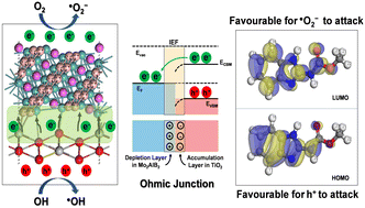 Graphical abstract: 2D Mo2AlB2 transition-metal-aluminum-boride-phase-integrated TiO2 nanoparticles enable accelerated carbendazim photodegradation: impact of ohmic junctions and electric fields