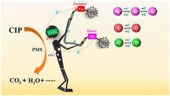 Graphical abstract: Optimizing oxygen vacancy concentration and electronic transport processes in a MnxCo/CeO2 nanoreactor: regulation mechanism of the radical to non-radical pathway