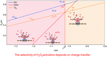 Graphical abstract: Unveiling the micro-mechanism of H2O2 activation and the selective regulation strategy over single-atom catalysts