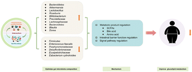 Graphical abstract: The regulation of glucose and lipid metabolism through the interaction of dietary polyphenols and polysaccharides via the gut microbiota pathway