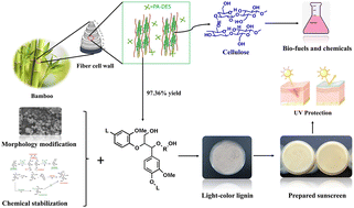 Graphical abstract: Low-chromophore lignin isolation from natural biomass with polyol-based deep eutectic solvents