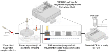 Graphical abstract: Integrated device for plasma separation and nucleic acid extraction from whole blood toward point-of-care detection of bloodborne pathogens