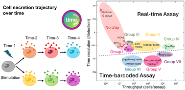 Graphical abstract: Time-resolved single-cell secretion analysis via microfluidics