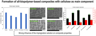 Graphical abstract: Formation of all-biopolymer-based composites with cellulose as the main component