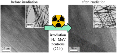 Graphical abstract: Disordered microporous Sandia octahedral molecular sieves are tolerant to neutron radiation