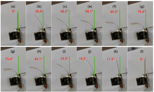 Graphical abstract: Current research status of ionic polymer–metal composites in applications of low-voltage actuators