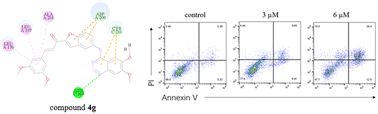 Graphical abstract: Synthesis and anti-tumor activity of new benzofuran-based chalcone derivatives as potent VEGFR-2 inhibitors