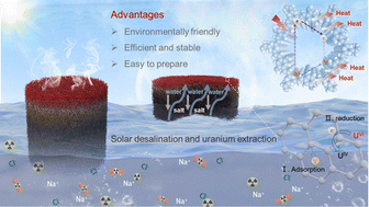 Graphical abstract: Engineering of robust conjugated polymer-based aerogels via surface-initiated polycondensation towards sunlight-driven seawater desalination and uranium extraction