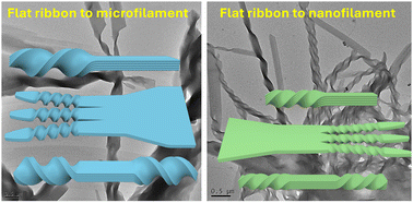 Graphical abstract: Controlling nano- and microfilament morphology by strategically placing chiral centers in the side chains of bent-core molecules