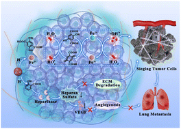 Graphical abstract: Sieging tumor cells using an amorphous ferric coordination polymer