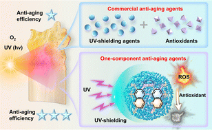 Graphical abstract: One-component anti-aging agents