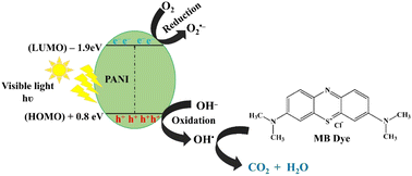 Graphical abstract: Enhanced photocatalytic performance of polyaniline nanoparticles for efficient dye degradation under simulated sunlight