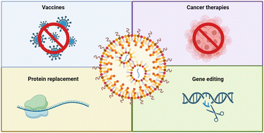 Graphical abstract: Advances in lipid nanoparticle mRNA therapeutics beyond COVID-19 vaccines