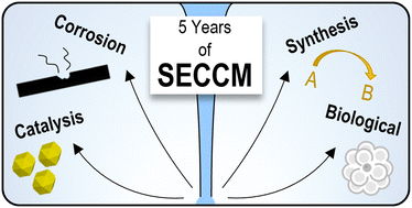 Graphical abstract: Five years of scanning electrochemical cell microscopy (SECCM): new insights and innovations