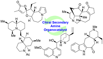 Graphical abstract: Recent advances in the total synthesis of alkaloids using chiral secondary amine organocatalysts