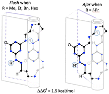 Graphical abstract: Conservation of structure and dynamic behavior in triazine macrocycles with opportunities for subtle control of hinge motion