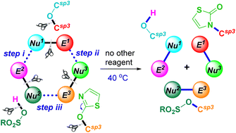 Graphical abstract: Three-component formal metathesis via remote activating strategy enabled (RASE) domino activation of two C(sp3)–O bonds in alkyl ethers