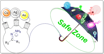 Graphical abstract: Hydrazones, hydrazones-based coinage metal complexes, and their biological applications