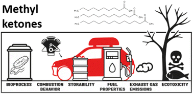 Graphical abstract: Methyl ketones: a comprehensive study of a novel biofuel