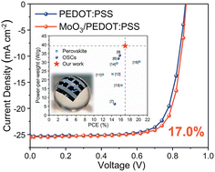 Graphical abstract: High-efficiency ultrathin flexible organic solar cells with a bilayer hole transport layer