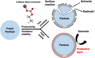 Graphical abstract: Disparity among cyclic alkyl carbonates associated with the cathode–electrolyte interphase at high voltage