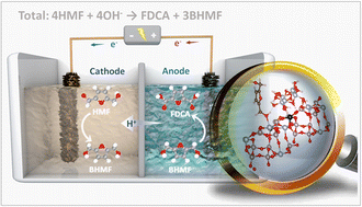 Graphical abstract: Construction of NiCo-metaphosphate/hydroxide with synergistic heterostructure for sustainable biomass electro-oxidation