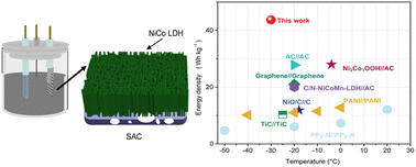 Graphical abstract: Biotopologically structured composite materials for low temperature energy storage