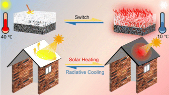 Graphical abstract: In situ switchable nanofiber films based on photoselective asymmetric assembly towards year-round energy saving