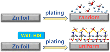 Graphical abstract: Bifunctional interface stabilizer for promoting preferential crystal face adsorption and inducing planar Zn growth