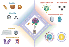 Graphical abstract: Nanomaterial-mediated photothermal therapy modulates tumor-associated macrophages: applications in cancer therapy