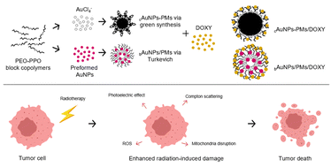 Graphical abstract: Novel doxycycline gold nanoparticles via green synthesis using PEO-PPO block copolymers for enhanced radiosensitization of melanoma