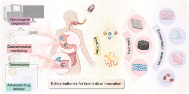 Graphical abstract: Edible batteries for biomedical innovation: advances, challenges, and future perspectives