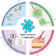 Graphical abstract: Frontiers in photodynamic therapy: type I NIR-II photosensitizers with aggregation-induced emission features