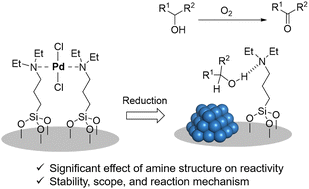 Graphical abstract: Effect of immobilized amine structure on the formation and catalysis of Pd nanoparticles for oxidation of alcohols