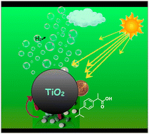 Graphical abstract: Scavenging of photogenerated holes in TiO2-based catalysts uniquely controls pollutant degradation and hydrogen formation under UVA or visible irradiation