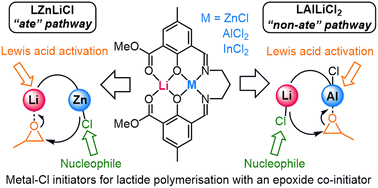 Graphical abstract: Heterometallic Li/Zn, Li/Al and Li/In catalysts for rac-lactide ring-opening polymerisation: “ate” or “non-ate” pathways?
