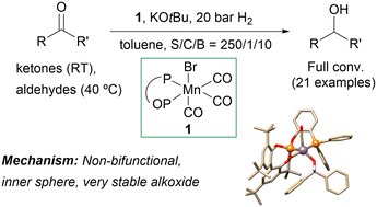 Graphical abstract: Non-bifunctional Mn catalysts based on phosphine–phosphites for the hydrogenation of carbonyl substrates