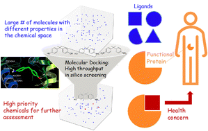 Graphical abstract: Molecular docking for screening chemicals of environmental health concern: insight from a case study on bisphenols