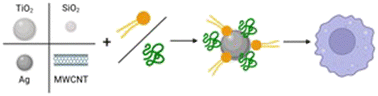 Graphical abstract: Lipid adsorbed on the surface of nanomaterials enhances protein corona formation