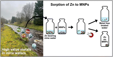 Graphical abstract: The removal of Zn from complex circumneutral pH mine waters using magnetic nanoparticles (MNPs)