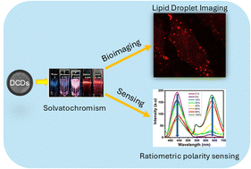 Graphical abstract: Polarity-sensitive dual emissive fluorescent carbon dots as highly specific targeting probes for lipid droplets in live cells