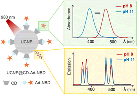 Graphical abstract: A host–guest approach to ratiometric pH sensing using upconversion nanoparticles
